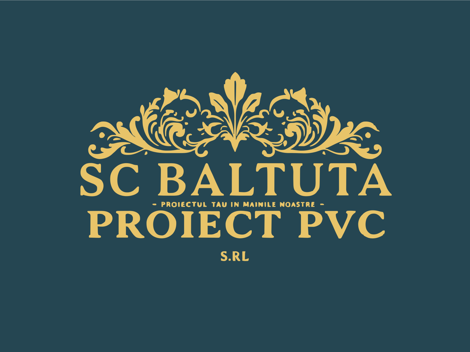 BALTUTA Proiect PVC